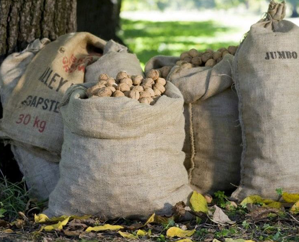 Farm Gate Produce Walnuts Bright