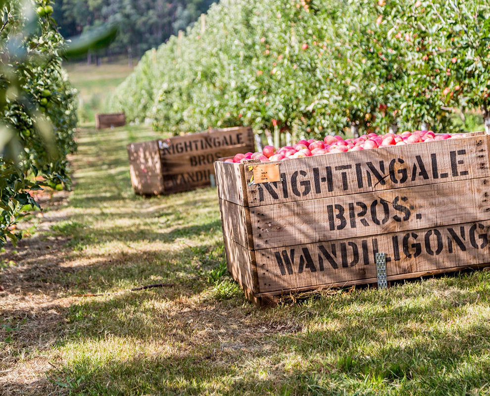 Nightingale Bros Apples and Farm Gate