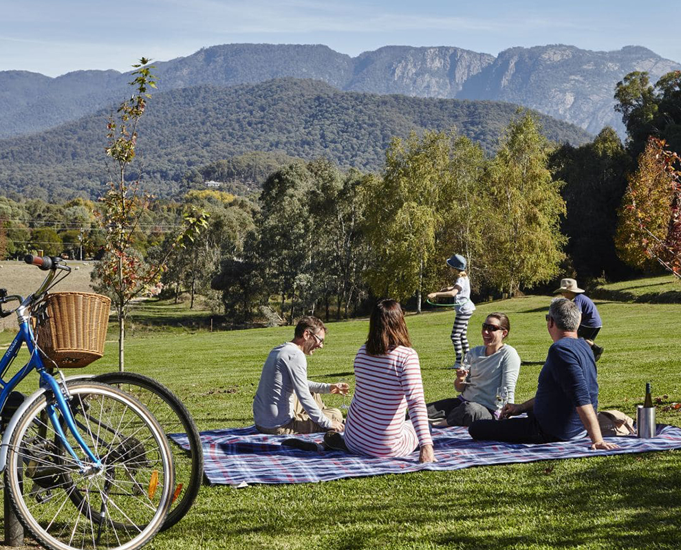 Picnic with Mount Buffalo View