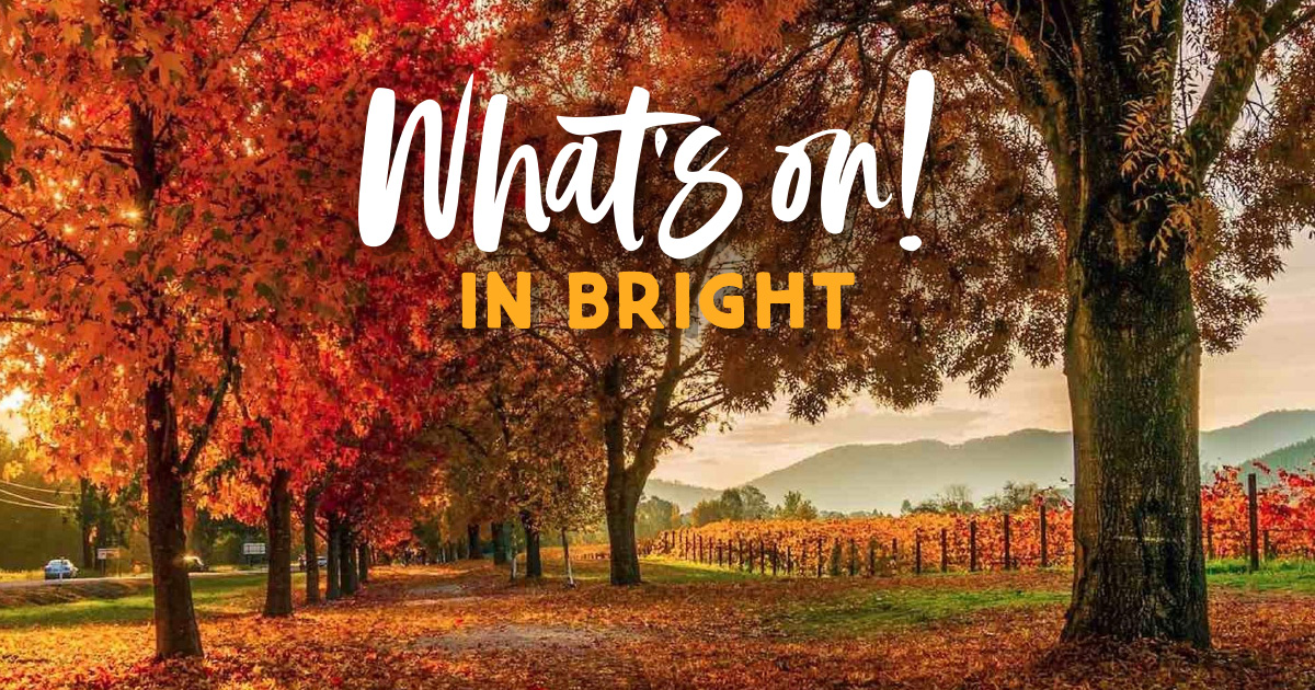 Accommodation and Camping in Bright Victoria What's on in Bright Victoria Events Festival Sport